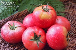 写真_夏の野菜 トマト